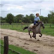 Porteño conversation te enseño a hablar el idioma de los porteños con las frases mas usadas!